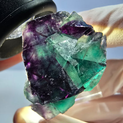 Seltene Phantom Fluorit Würfel Stufe, grün lila Okorusu, Namibia 39*26*21mm