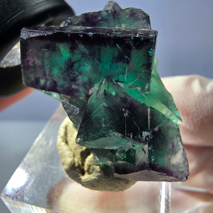 Seltene Phantom Fluorit Würfel Stufe, grün lila Okorusu, Namibia 39*26*21mm
