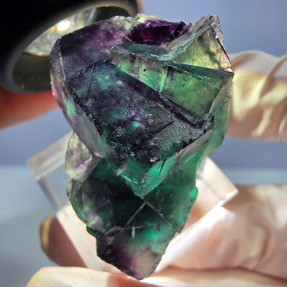 Seltene Phantom Fluorit Würfel Stufe, grün lila Okorusu, Namibia 39*26*21mm