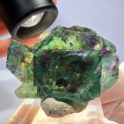 Seltene Phantom Fluorit Würfel Stufe, grün lila Okorusu, Namibia 46*30*20mm