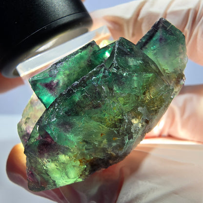 Seltene Phantom Fluorit Würfel Stufe, grün lila Okorusu, Namibia 46*30*20mm