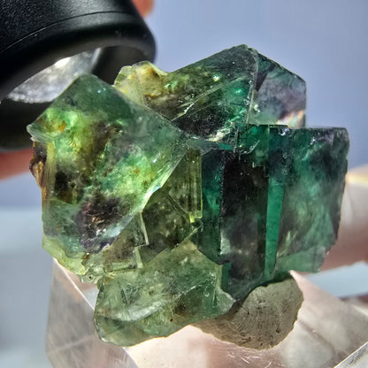 Seltene Phantom Fluorit Würfel Stufe, grün lila Okorusu, Namibia 46*30*20mm