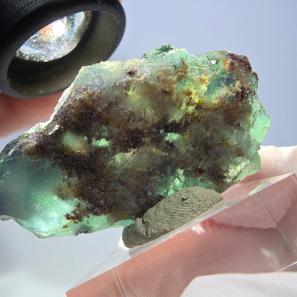 Seltene Phantom Fluorit Würfel Stufe, grün lila Okorusu, Namibia 46*30*20mm