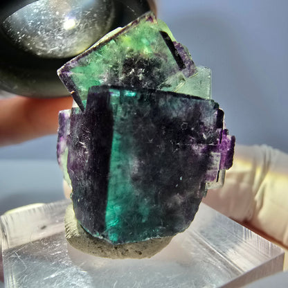 Seltene Phantom Fluorit Würfel Stufe, grün lila Okorusu, Namibia 28*27*15mm