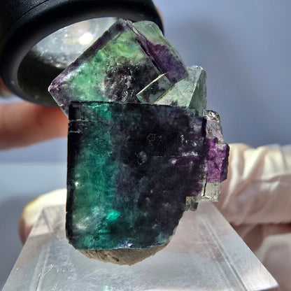 Seltene Phantom Fluorit Würfel Stufe, grün lila Okorusu, Namibia 28*27*15mm