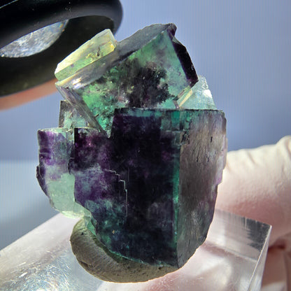 Seltene Phantom Fluorit Würfel Stufe, grün lila Okorusu, Namibia 28*27*15mm