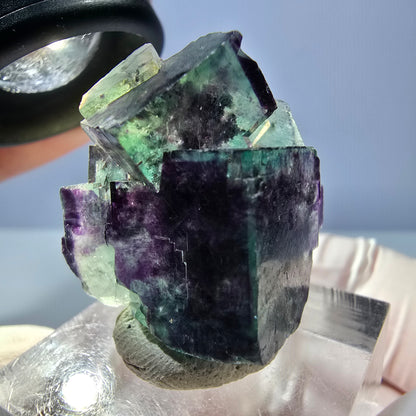 Seltene Phantom Fluorit Würfel Stufe, grün lila Okorusu, Namibia 28*27*15mm