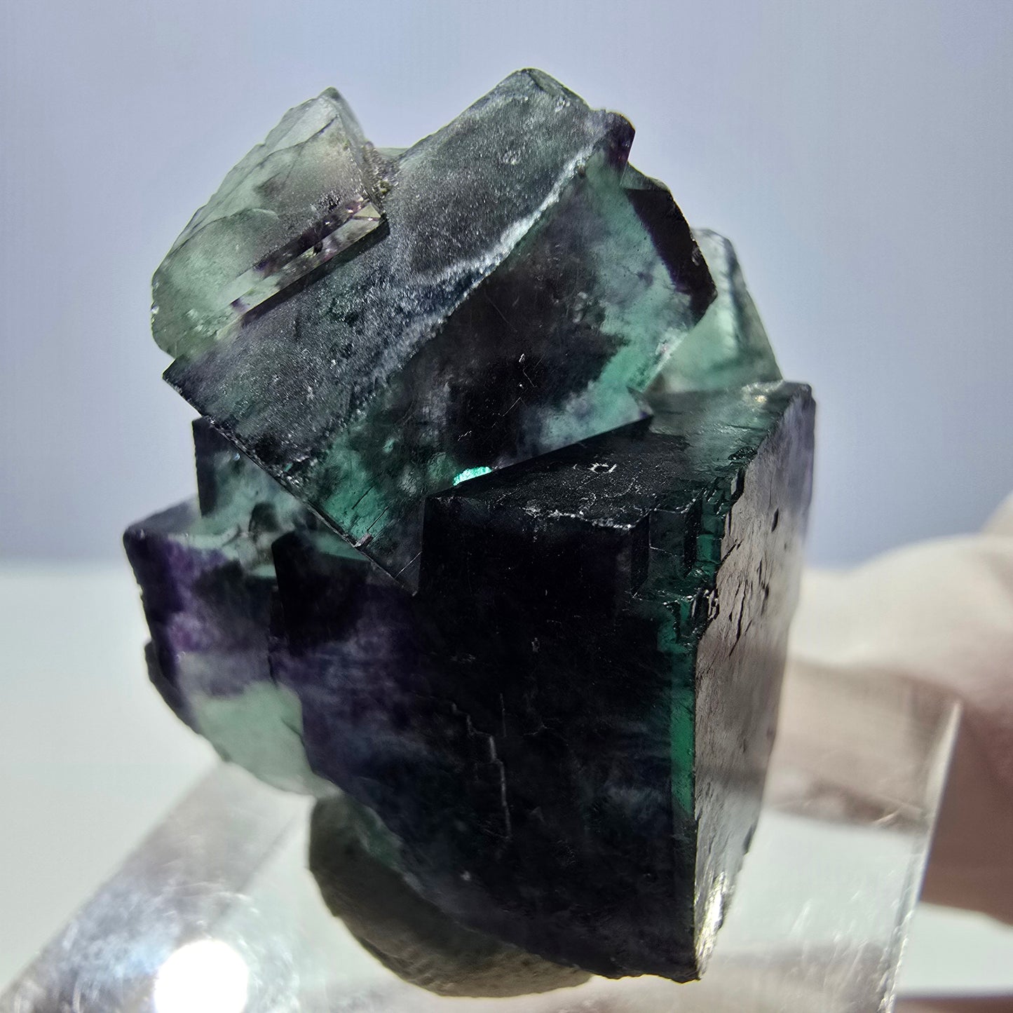 Seltene Phantom Fluorit Würfel Stufe, grün lila Okorusu, Namibia 28*27*15mm