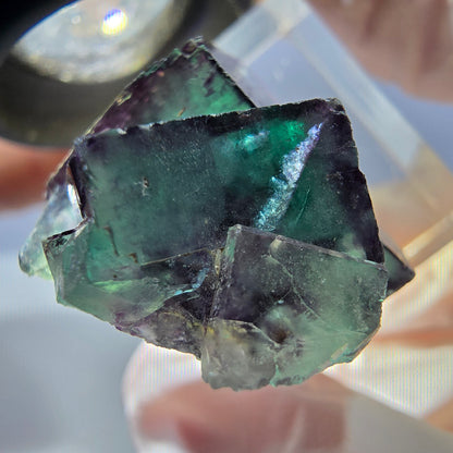 Seltene Phantom Fluorit Würfel Stufe, grün lila Okorusu, Namibia 28*27*15mm