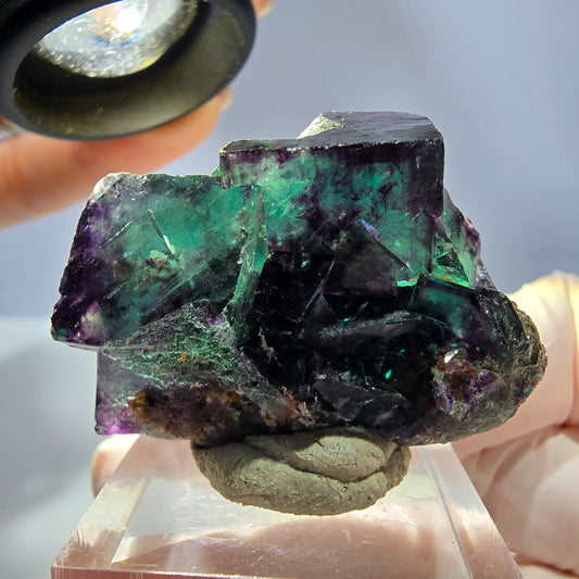 Rare spécimen cubique de fluorite fantôme, vert-violet, Okorusu, Namibie, 38*29*19 mm 