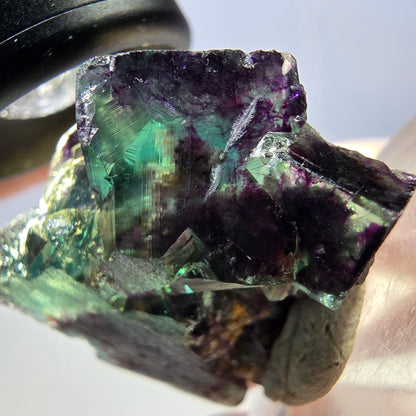 Seltene Phantom Fluorit Würfel Stufe, grün lila Okorusu, Namibia 38*29*19mm