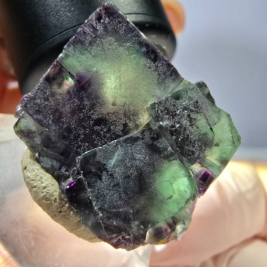 Rare spécimen de cube de fluorite fantôme, vert-violet, Okorusu, Namibie, 28*18*19 mm 