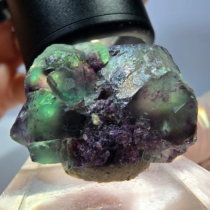 Seltene Phantom Fluorit Würfel Stufe, grün lila Okorusu, Namibia 28*18*19mm