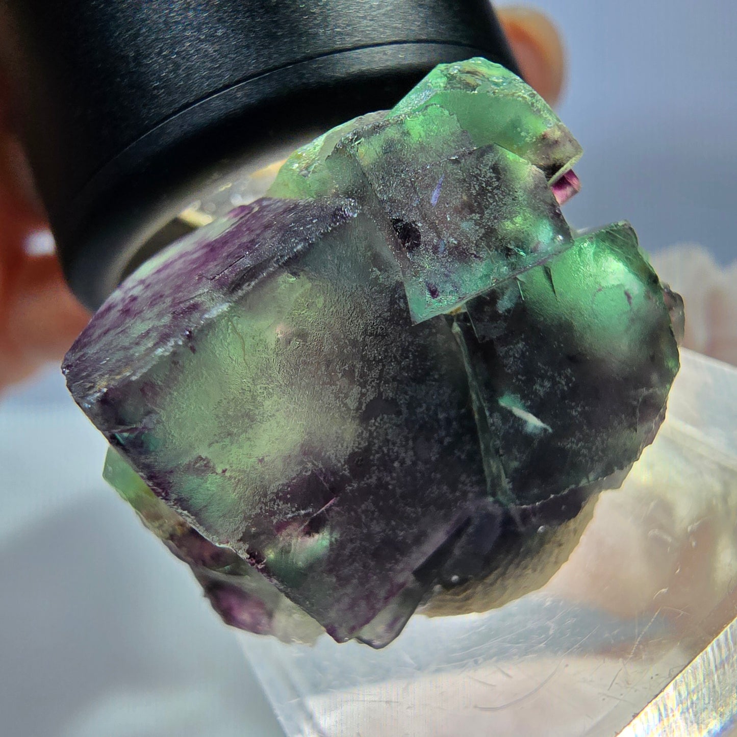 Seltene Phantom Fluorit Würfel Stufe, grün lila Okorusu, Namibia 28*18*19mm