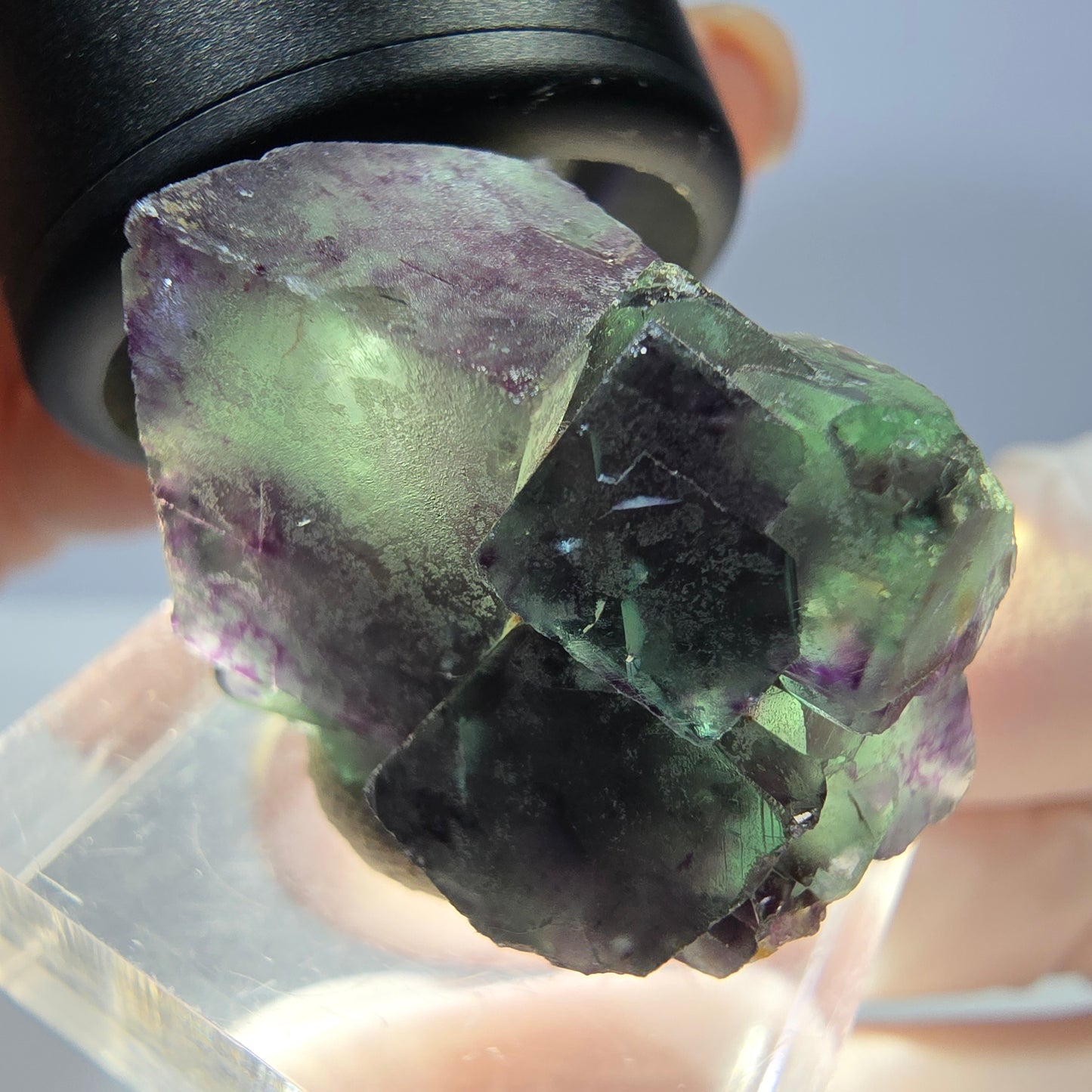 Seltene Phantom Fluorit Würfel Stufe, grün lila Okorusu, Namibia 28*18*19mm