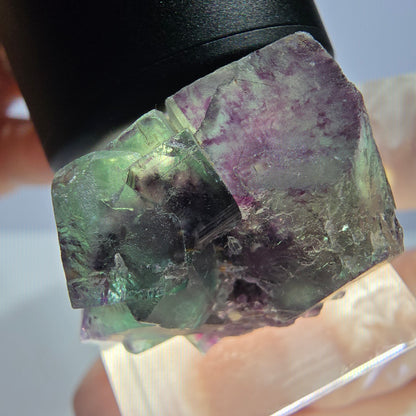 Seltene Phantom Fluorit Würfel Stufe, grün lila Okorusu, Namibia 28*18*19mm