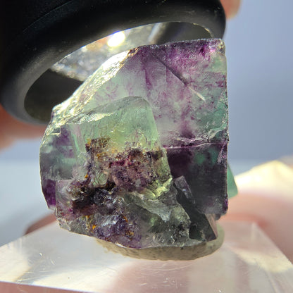 Seltene Phantom Fluorit Würfel Stufe, grün lila Okorusu, Namibia 28*18*19mm