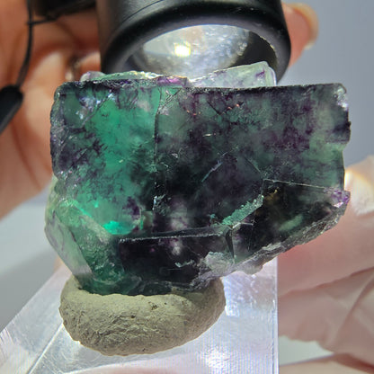Seltene Phantom Fluorit Würfel Stufe, grün lila Okorusu, Namibia 39*29*16mm