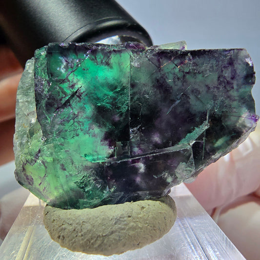 Rare spécimen cubique de fluorite fantôme, vert-violet, Okorusu, Namibie, 39*29*16 mm 