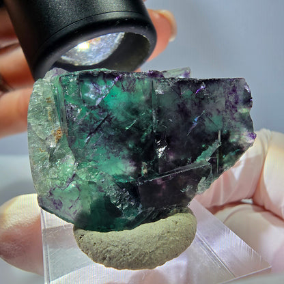 Seltene Phantom Fluorit Würfel Stufe, grün lila Okorusu, Namibia 39*29*16mm