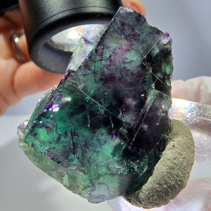 Seltene Phantom Fluorit Würfel Stufe, grün lila Okorusu, Namibia 39*29*16mm