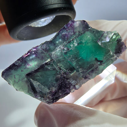 Seltene Phantom Fluorit Würfel Stufe, grün lila Okorusu, Namibia 39*29*16mm