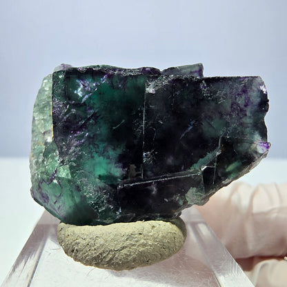 Seltene Phantom Fluorit Würfel Stufe, grün lila Okorusu, Namibia 39*29*16mm