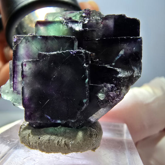 Rare spécimen cubique de fluorite fantôme, vert-violet, Okorusu, Namibie, 35*28*18 mm 