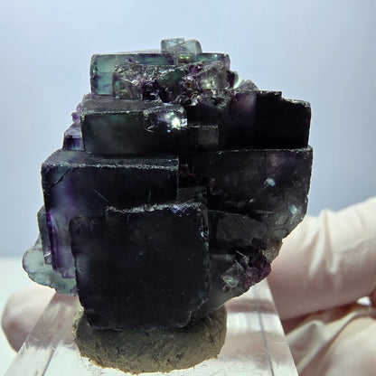 Seltene Phantom Fluorit Würfel Stufe, grün lila Okorusu, Namibia 35*28*18mm