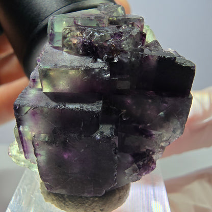 Seltene Phantom Fluorit Würfel Stufe, grün lila Okorusu, Namibia 35*28*18mm