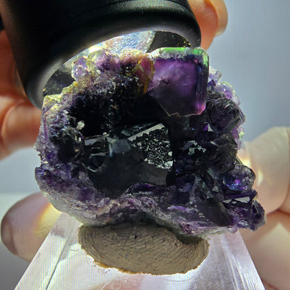 Seltene Phantom Fluorit Würfel Stufe, grün lila Okorusu, Namibia 34*31*14mm