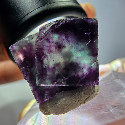 Seltene Phantom Fluorit Würfel Stufe, grün lila Okorusu, Namibia 25*17*15mm