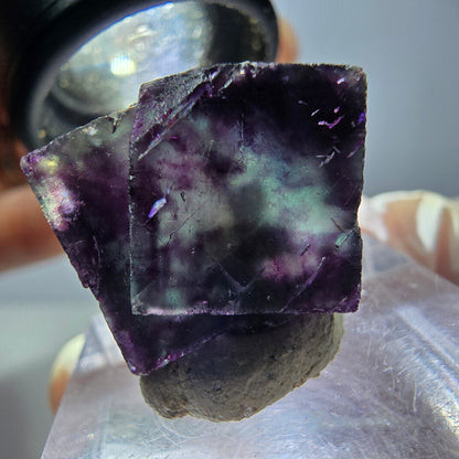 Seltene Phantom Fluorit Würfel Stufe, grün lila Okorusu, Namibia 25*17*15mm