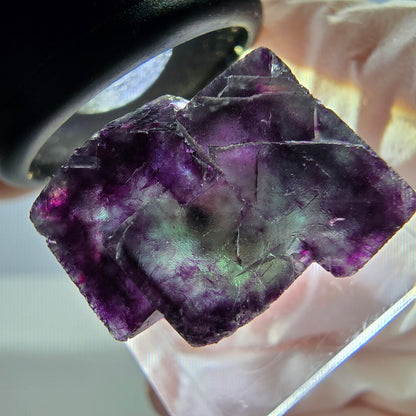 Seltene Phantom Fluorit Würfel Stufe, grün lila Okorusu, Namibia 25*17*15mm