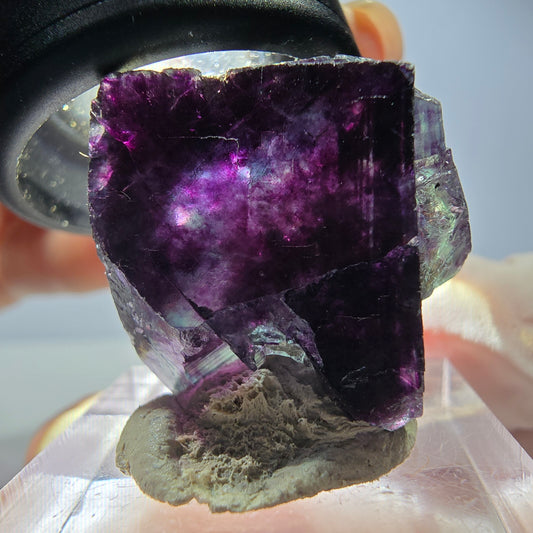 Rare spécimen cubique de fluorite fantôme, vert-violet, Okorusu, Namibie, 23*22*18 mm 
