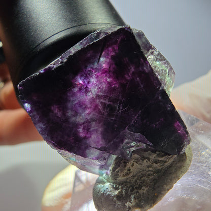 Seltene Phantom Fluorit Würfel Stufe, grün lila Okorusu, Namibia 23*22*18mm