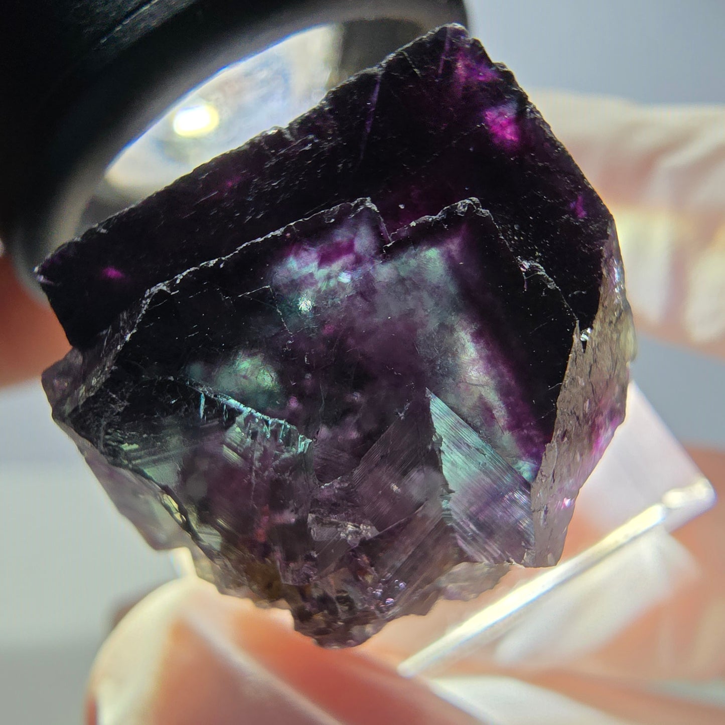 Seltene Phantom Fluorit Würfel Stufe, grün lila Okorusu, Namibia 23*22*18mm