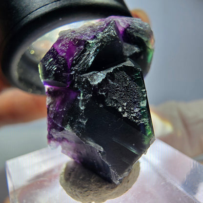 Seltene Phantom Fluorit Würfel Stufe, grün lila Okorusu, Namibia 26*17*16mm