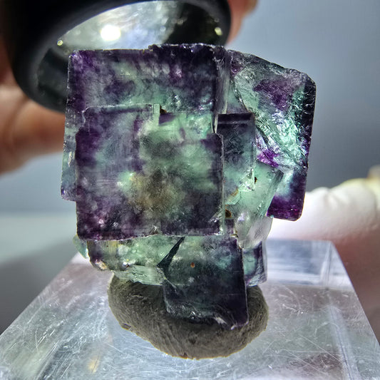 Rare spécimen de fluorite fantôme en forme de cube, vert-violet, Okorusu, Namibie, 24*18*14 mm 
