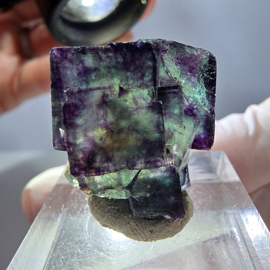 Rare spécimen de fluorite fantôme en forme de cube, vert-violet, Okorusu, Namibie, 24*18*14 mm 