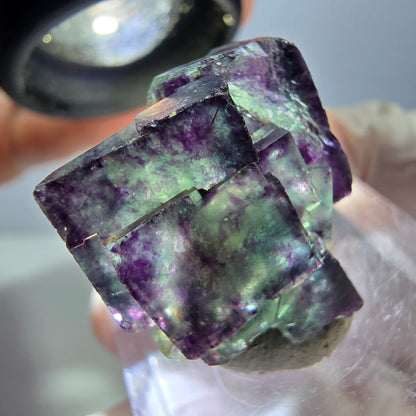 Seltene Phantom Fluorit Würfel Stufe, grün lila Okorusu, Namibia 24*18*14mm