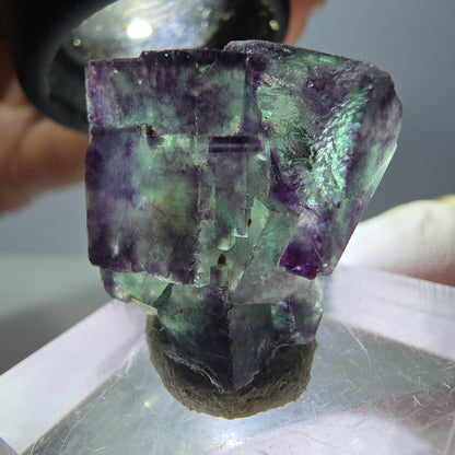 Seltene Phantom Fluorit Würfel Stufe, grün lila Okorusu, Namibia 24*18*14mm
