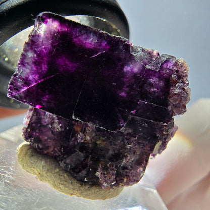 Seltene Phantom Fluorit Würfel Stufe, grün lila Okorusu, Namibia 24*23*16mm