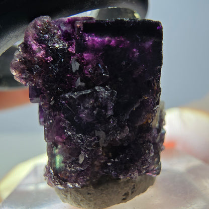 Seltene Phantom Fluorit Würfel Stufe, grün lila Okorusu, Namibia 24*23*16mm