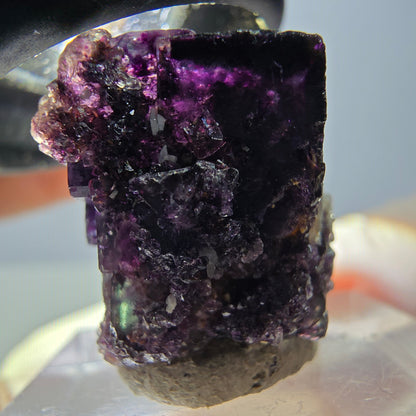 Seltene Phantom Fluorit Würfel Stufe, grün lila Okorusu, Namibia 24*23*16mm