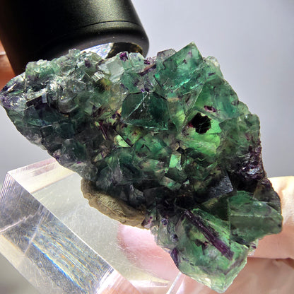 Seltene Phantom Fluorit Würfel Stufe, grün lila Okorusu, Namibia 48*28*11mm