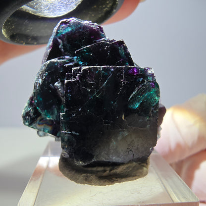 Seltene Phantom Fluorit Würfel Stufe, grün lila Okorusu, Namibia 32*29*19mm