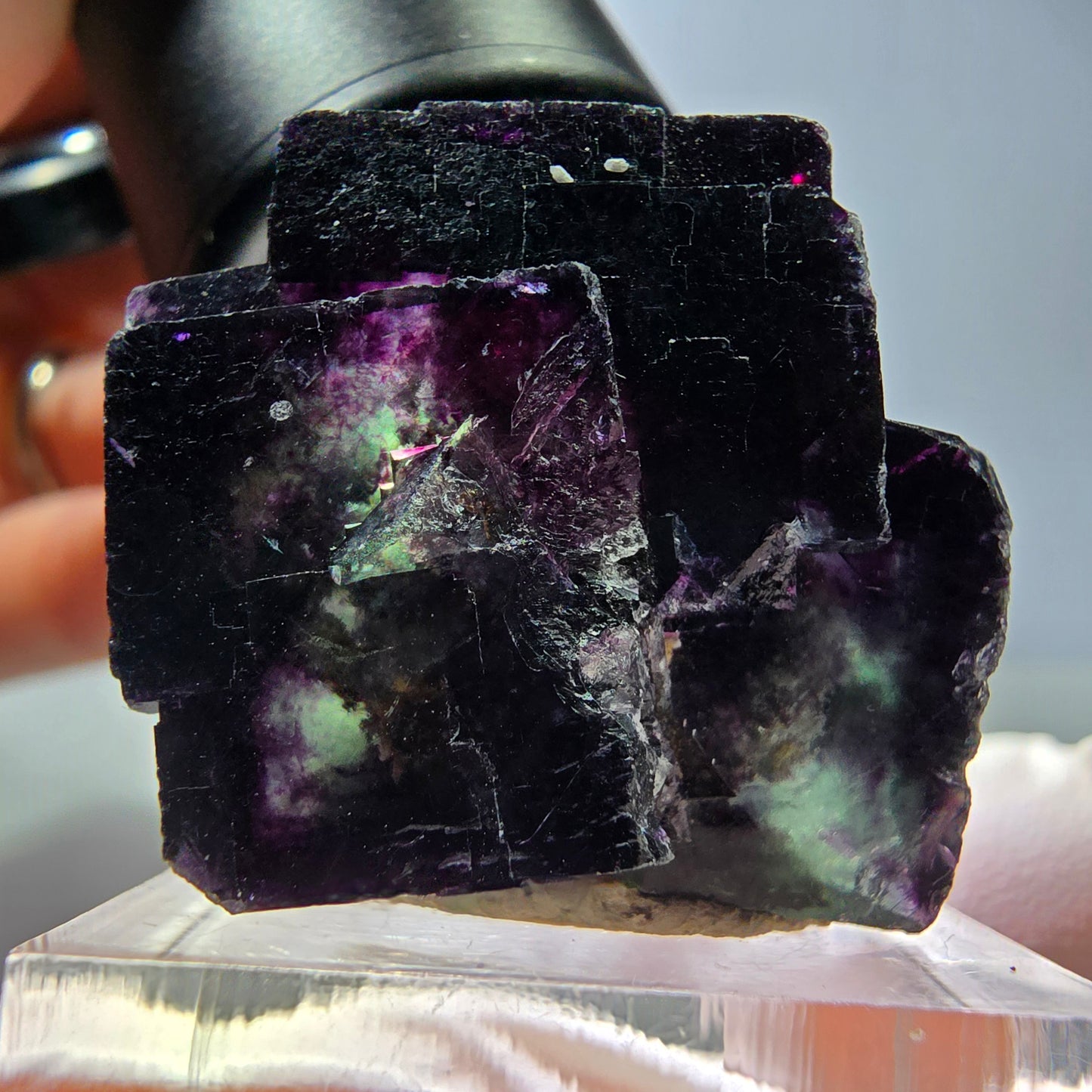 Seltene Phantom Fluorit Würfel Stufe, grün lila Okorusu, Namibia 35*34*25mm