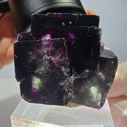 Seltene Phantom Fluorit Würfel Stufe, grün lila Okorusu, Namibia 35*34*25mm