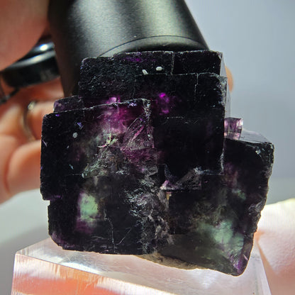 Seltene Phantom Fluorit Würfel Stufe, grün lila Okorusu, Namibia 35*34*25mm